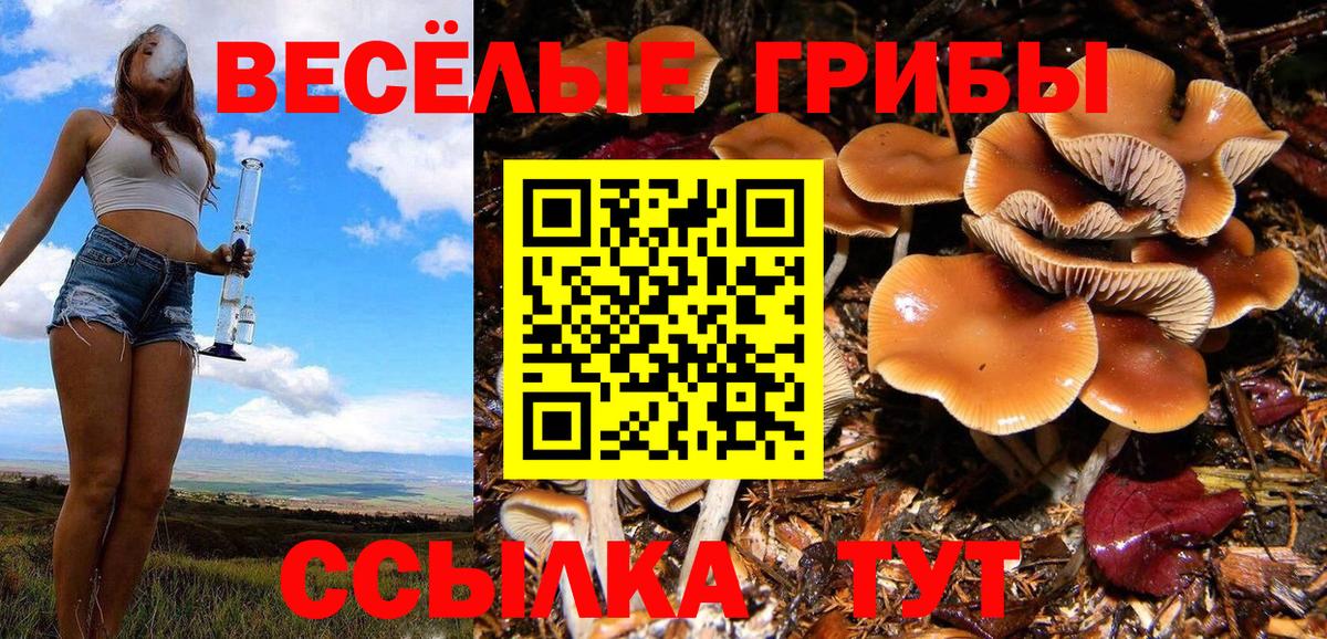 Псилоцибиновые грибы ЛСД  Вход с VPN  Псилоцибиновые грибы ЛСД  Химки 