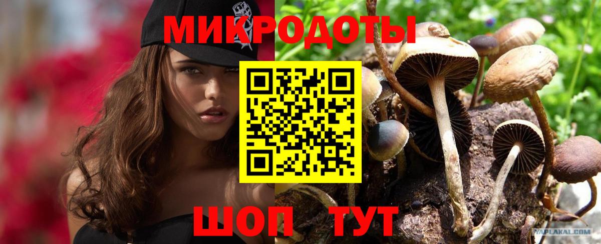 Галлюциногенные грибы Magic Shrooms Химки